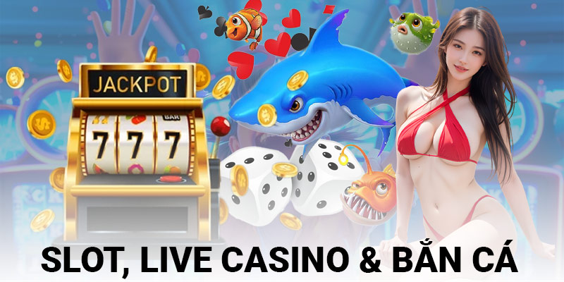 Slot, live casino & bắn cá