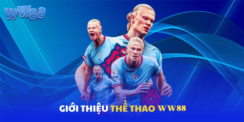 Cá cược đa môn thể thao WW88